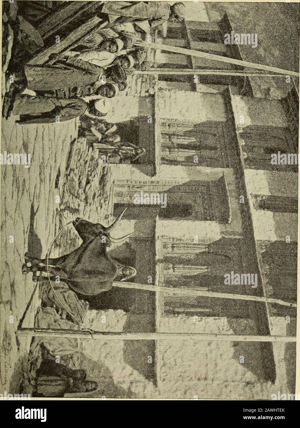 Dans la terre interdite, un compte rendu d'un voyage au Tibet . ourney, un emploi haineux au-delà de la mesure quand vous êtes le mouvement ohthe. Après avoir dûment déballé tous les plats en développement et préparé les différentes solutions, je vais travailler pour rendre l'abri complètement sombre. Le prochain élément de quantité d'impur requis était l'eau, et de ce fait il y avait du plentyin ce shanty wretched. Je viens de développer des négatifs demi-adozen, et je me suis réjoui des excellents ré-sectes, quand, en raison de la tempête qui a grogné plus violent, la pluie a commencé à couler sur ma tête par le toit de fuite des Daramsalla. Pour déplacer tout le bac Banque D'Images