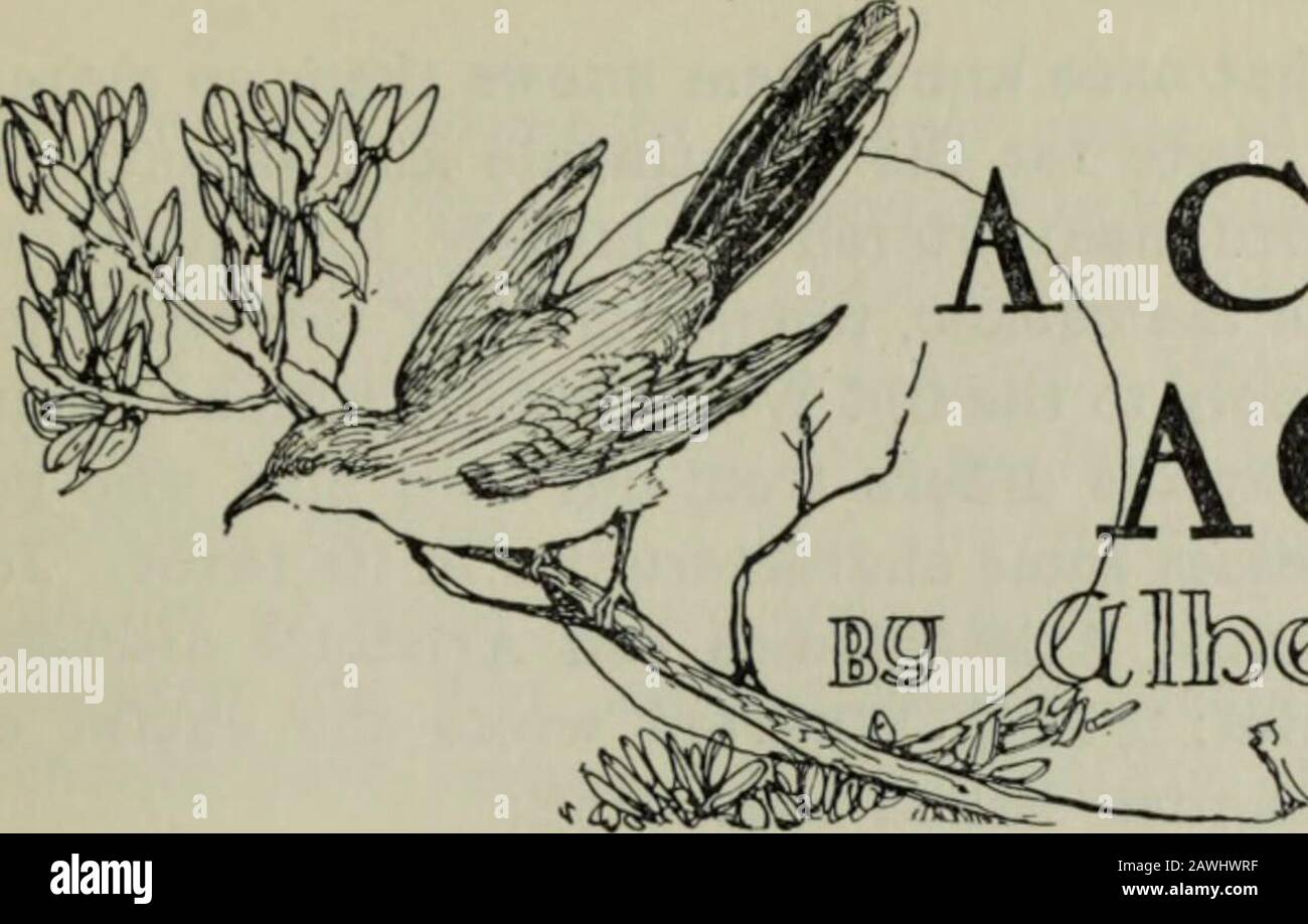 Western field. rt The Golden Gate. La ville de Regal se trouve en altitude, Les eaux à ses pieds, Et sur sa tête, comme la couronne des étoiles, la rue éclairée Twines sur la rue. NUIT À SAN FRANCISCO. (Un Fragment.) Mais maintenant elle nods pendant la nuit se poursuit, Et attire sur son visage Le brouillard dérivant, le brouillard gris doux, Comme des plis malins de dentelle; Et à travers les plis les lumières brillent sombre. Comme les étoiles dans la moitié d'eclipse.Alors que dehors en mer les sirènes moan. Avertir les navires qui passent. Les lucioles avec leurs lanternes.Are éclairent les papillons nocturnes homeFroment leurs révéleurs avec les fleurs.Dans la hâte est l'aube viendra. LUCIOLES. (Après Banque D'Images