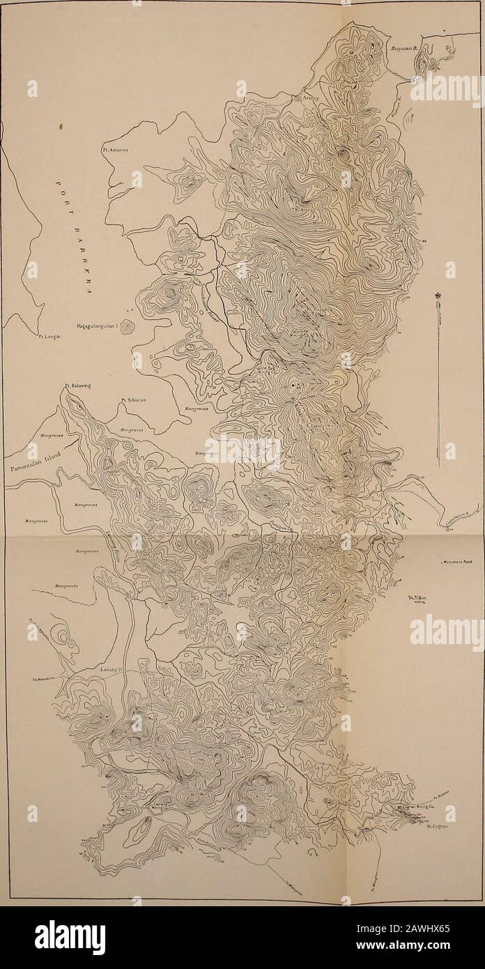 La revue philippine de la science . Rllofwetrei COPIÉ FROMATLAS DE FILIPINAS Plait I. Map ou Hasbatk, P. I. Fbbquson : Physioghapht de PhilippiniBUREAU DE LA SCIENCE FbousOn: Physiogbaphy ou les îles Philippines.]BUREAU DE LA SCIENCE [Phil. Joobn. SCI., vol. IV, no 1.DIVISION DES MINES. Iruupal vcin^ sfw^n, donc =T*^ — —F= Comow iman-&gt;l10 mri Trlam^dadon, par // U. Ickia et M. Ceodnum.Topagraphy par // G. Fcr^itsoh, I „T^U S CxMt a.n Ceodclic Tk-T3. QUARTIER ARONOY MIMIMSO, MiSBiTE. P Feequson: Physioghapht de l'IsBUREAU philippin DE SCIENCE Febocson: Physi Banque D'Images