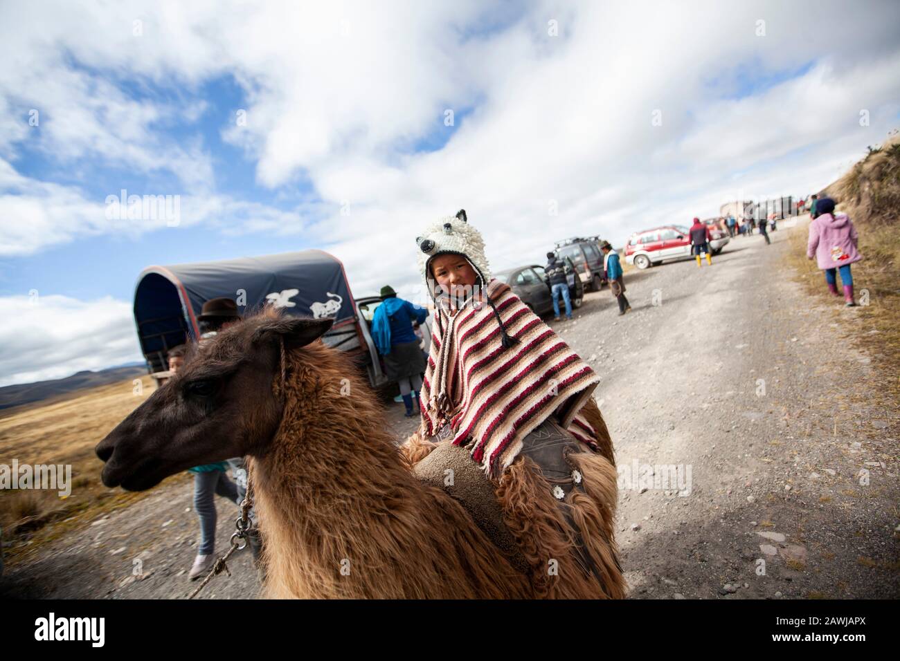 Quito, Équateur. 8 février 2020. Un garçon mandit son llama en attendant le début de la course. La course traditionnelle de Lama dans le parc national de Llanganates a lieu dans la province de Tungurahua à 4100 mètres au-dessus du niveau de la mer. Crédit: Juan Diego Monténégro//Dpa/Alay Live News Banque D'Images