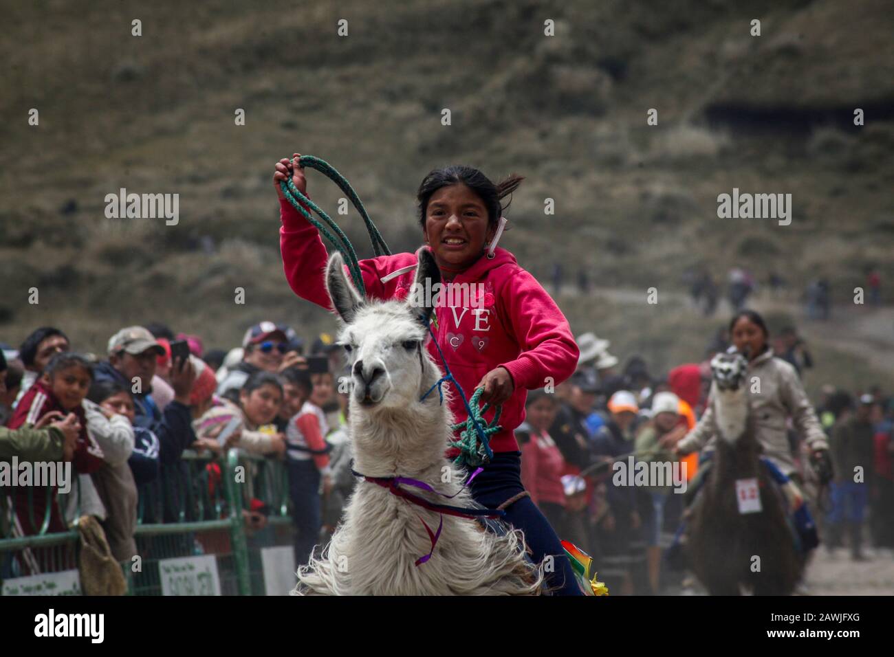 Dpatop - 08 février 2020, Equateur, Quito: Participant Irma Santafe conduit son llama et prend la troisième place dans la course traditionnelle de llama dans le parc national de Llanganates dans la province de Tungurahua à 4100 mètres d'altitude. Photo: Juan Diego Monténégro/ Banque D'Images