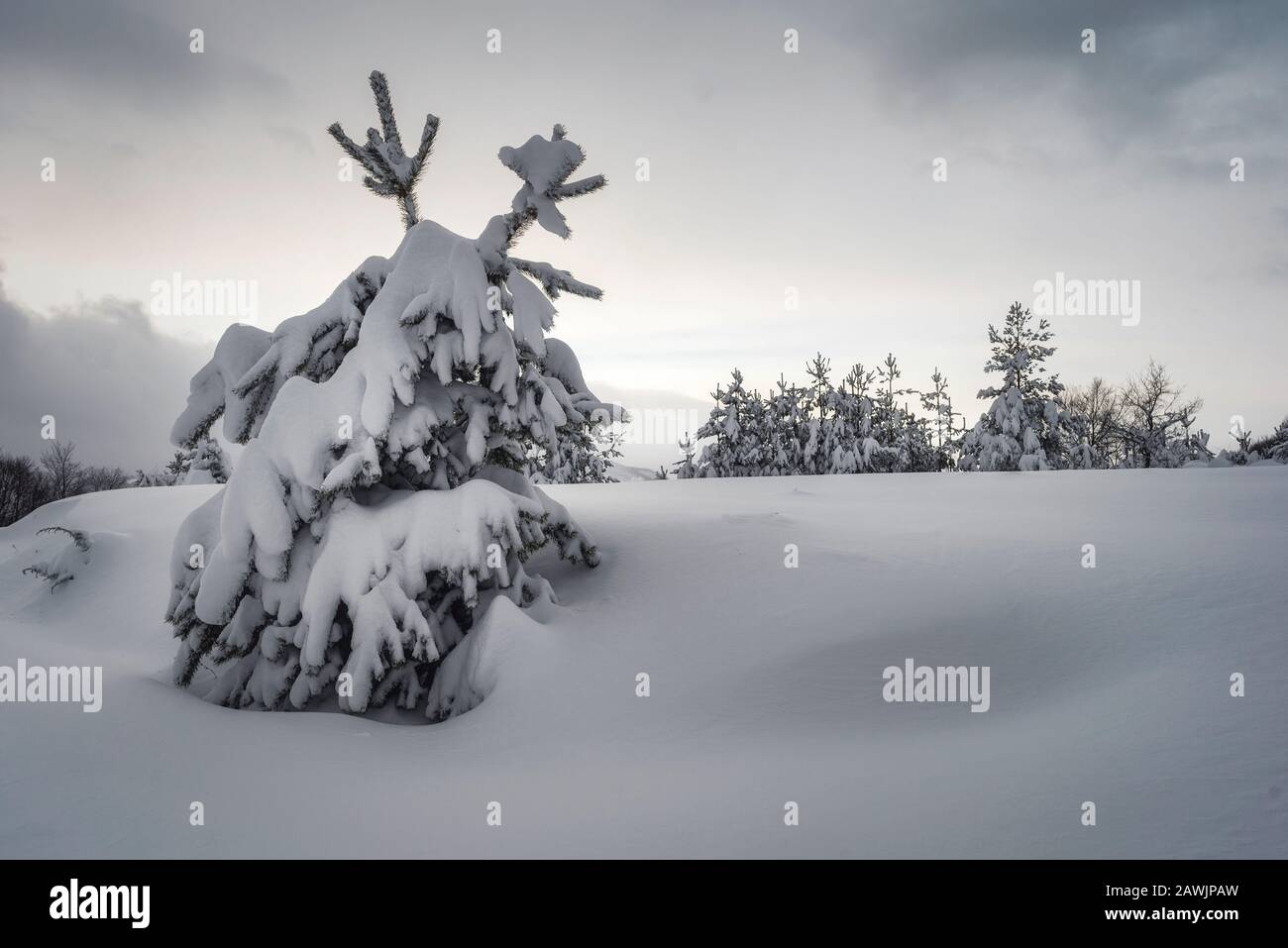 Belle scène de campagne d'hiver avec neige et montagnes. Banque D'Images