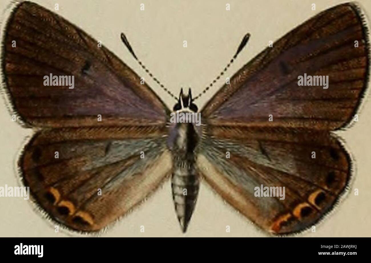 Debray Banque D Image Et Photos Alamy Debray Banque D Image Et Photos Alamy