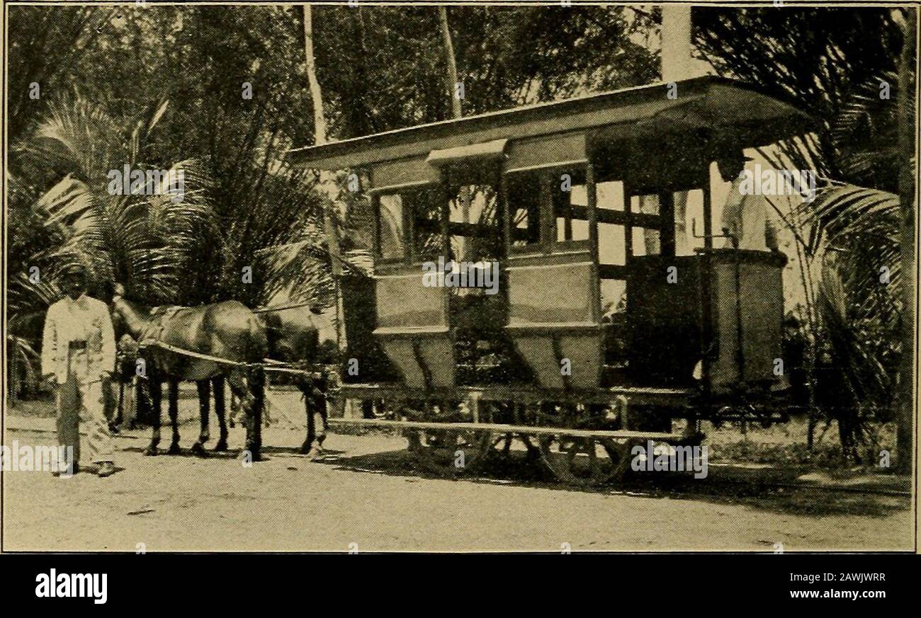 Avec le Président Cannon à travers les tropiques : une histoire descriptive d'un voyage aux Antilles, Venezuela et Panama: Contenant des vues du Président sur nos possessions coloniales . ulcountry, et, avec l'aide de Gods, nous ferons le meilleur que nous puissions canto pour permettre aux gens de l'apprécier. Vous faites une noble lutte contre de lourdes probabilités, a dit le Président, à qui le missionnaire avait été pré-senté. L'homme noir a besoin de votre aide, et je lui dois faire le sacrifice. C'est un grand travail, dans lequel nous espérons tous pour le meilleur. J'espère que c'est le meilleur maintenant, comme je l'ai fait dans les jours le long du Wabash, quand beaucoup d'un blackman Banque D'Images