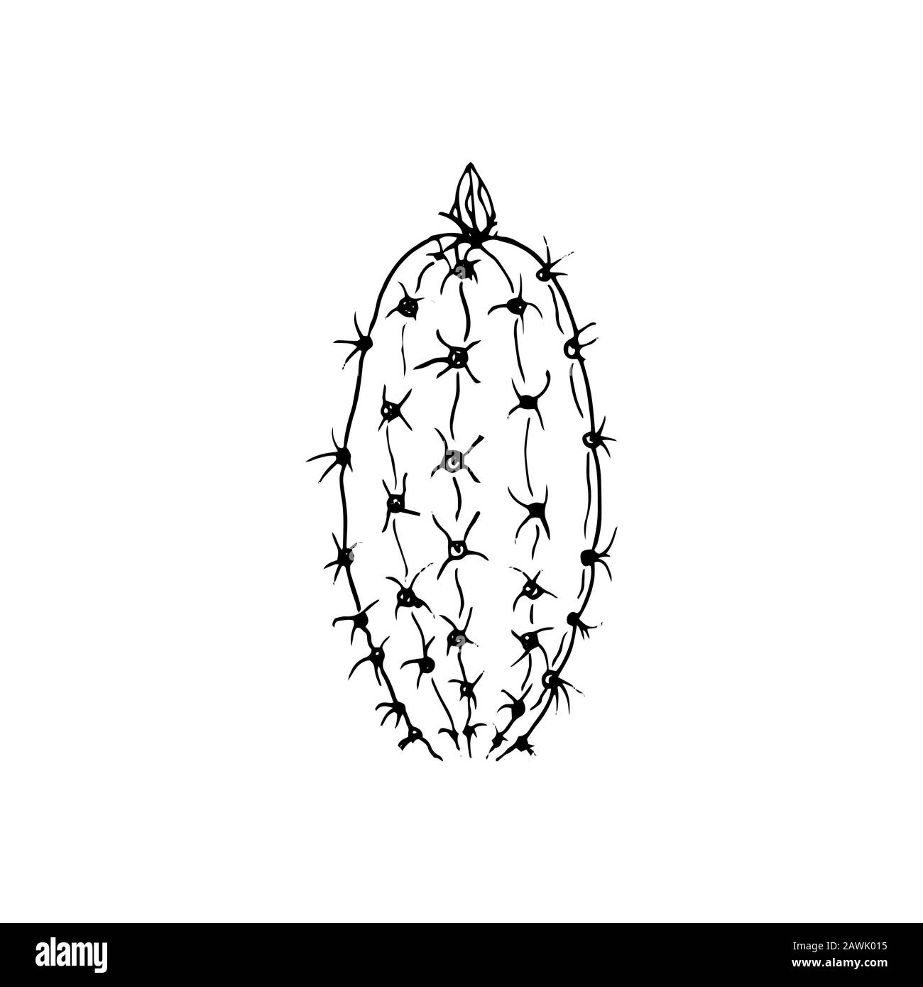 illustration vectorielle d'un cactus noir et blanc avec une fleur sur le dessus Illustration de Vecteur