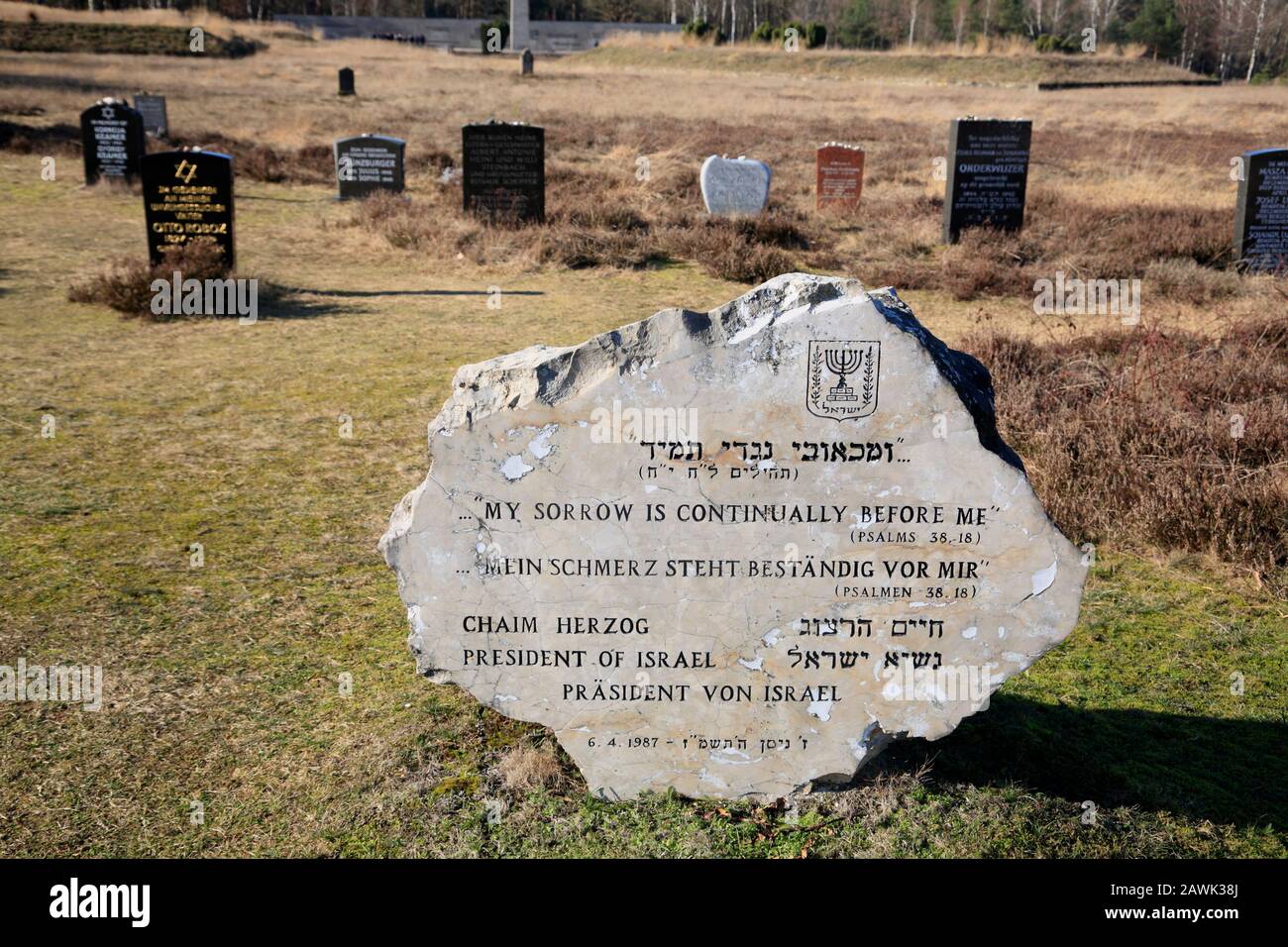 Mémorial juif, mémorial du camp de concentration de Bergen-Belsen, Basse-Saxe, Allemagne, Europe Banque D'Images