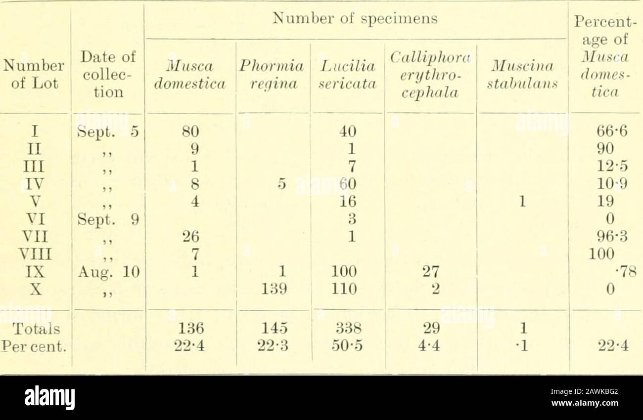 La mouche domestique, Musca domestica Linn: Sa structure, ses habitudes, le développement, la relation avec la maladie et le contrôle . r les conditions climatiques peuvent être. Milliken (1011) a trouvé les œufs et les larves de M. domestica de luzerne ou de luzerne au Kansas, États-Unis La fermentationse tenant sans doute attiré les Hies adultes. Pratt (1912) a élevé cinquante spécimens de M. domestica de vache-manme à Dallas, Texas, États-Unis, il affirme que c'est l'une des espèces les plus communes dans les écuries. Le fumier frais s'attoit en grand nombre. Paine (1912) a fait une étude des espèces de mouches bréedingin ordures dans la ville de Boston, Mass Banque D'Images