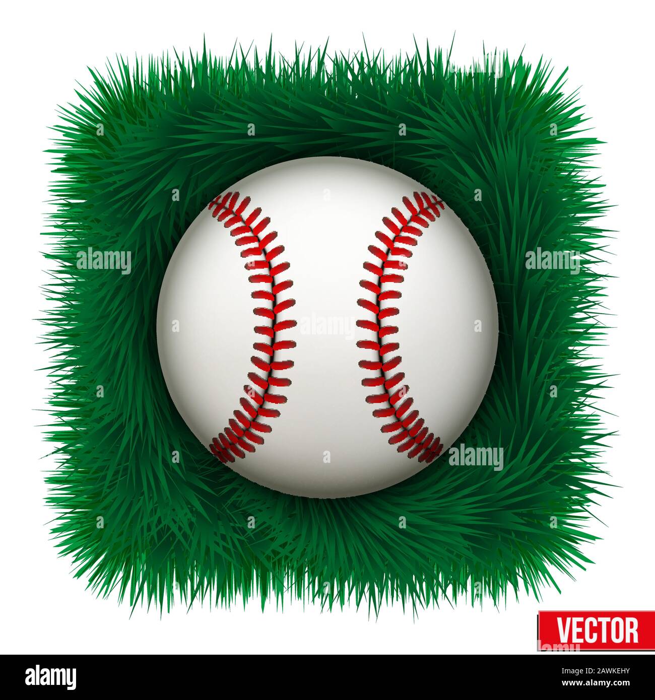 Icône boule de baseball dans l'herbe verte. Illustration Vectorielle Illustration de Vecteur