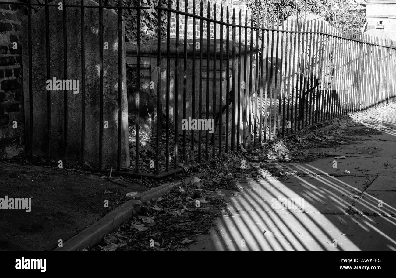 Gros plan sur les chemins de fer peints en noir et leurs ombres à côté d'une allée à l'église St Nicholas, Chiswick, Londres, Royaume-Uni, photographiée avec un contraste élevé. Banque D'Images