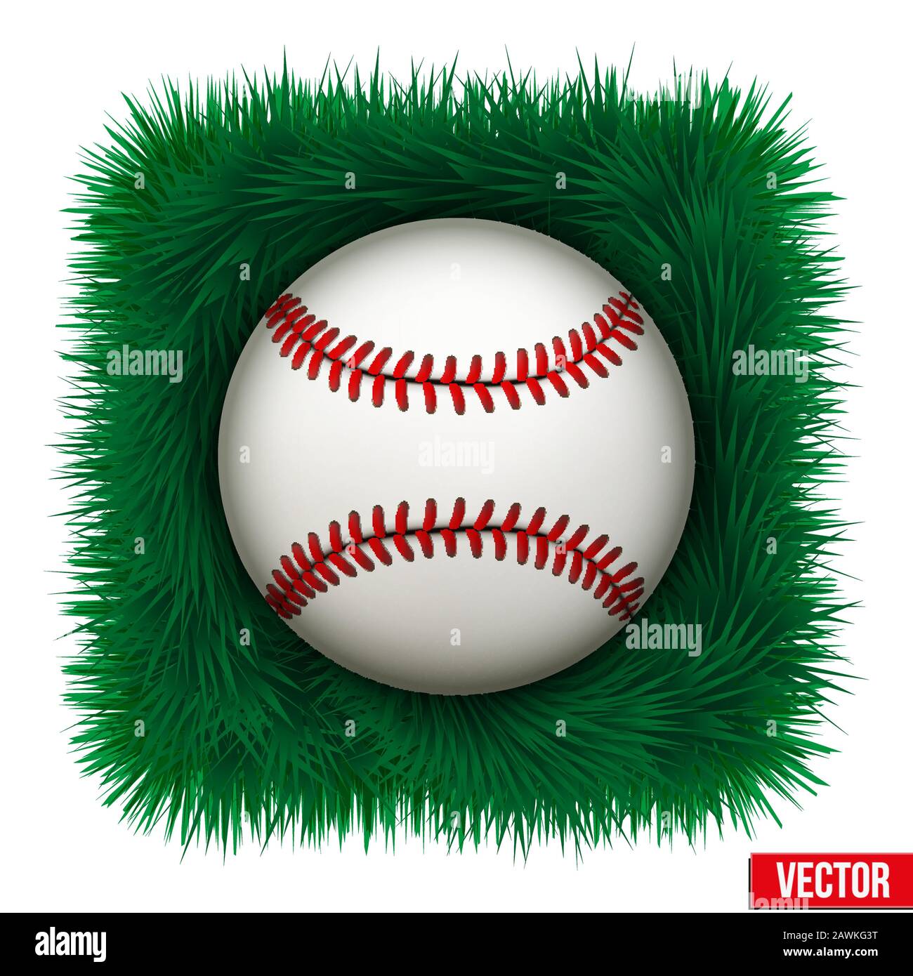 Icône boule de baseball dans l'herbe verte. Illustration Vectorielle Illustration de Vecteur
