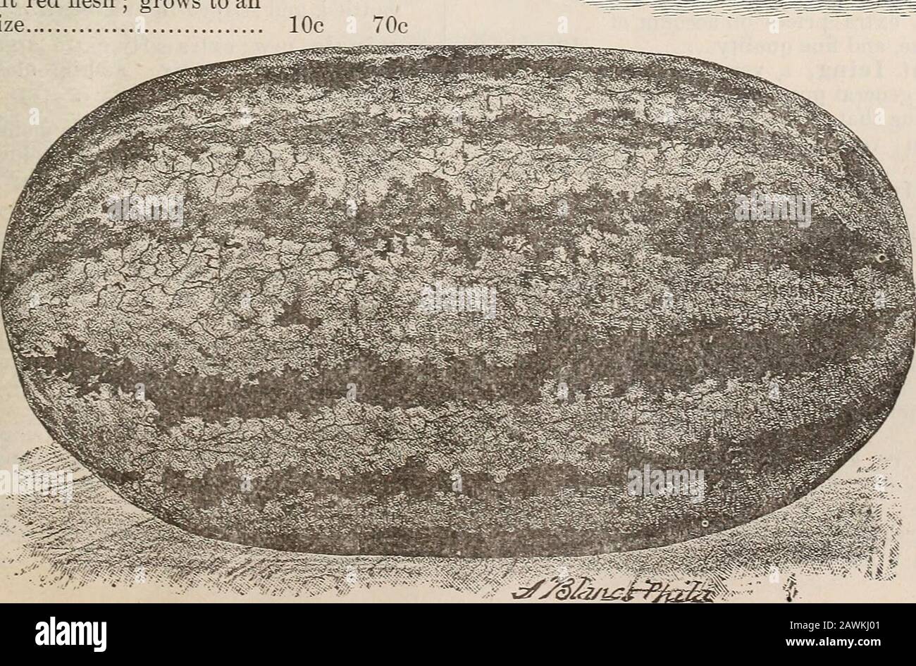 Catalogue de semences, fournitures agricoles et horticoles et guide pour le jardin, le champ et la ferme . Mammoth En Métal. 28 Germain Fruit Companys MELON -(EAU)- Suite. Banque D'Images