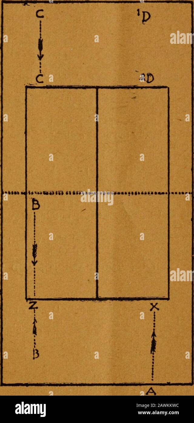 Le jeu du tennis de pelouse et comment le jouer . ligne. Chaque partenaire  a maintenant la moitié hisparticulière de la cour à couvrir, et malheur  pour la domesticpaix de la combinaison