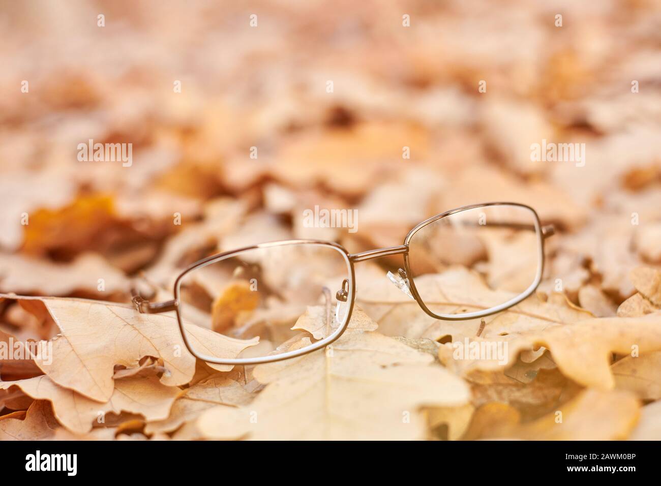 Lunettes sur le feuillage d'automne. Concept de perte de vision d'automne. Carence en vitamine avec âge. Banque D'Images