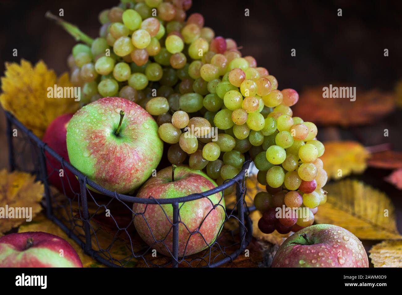 Pommes et raisins frais d'automne Banque D'Images