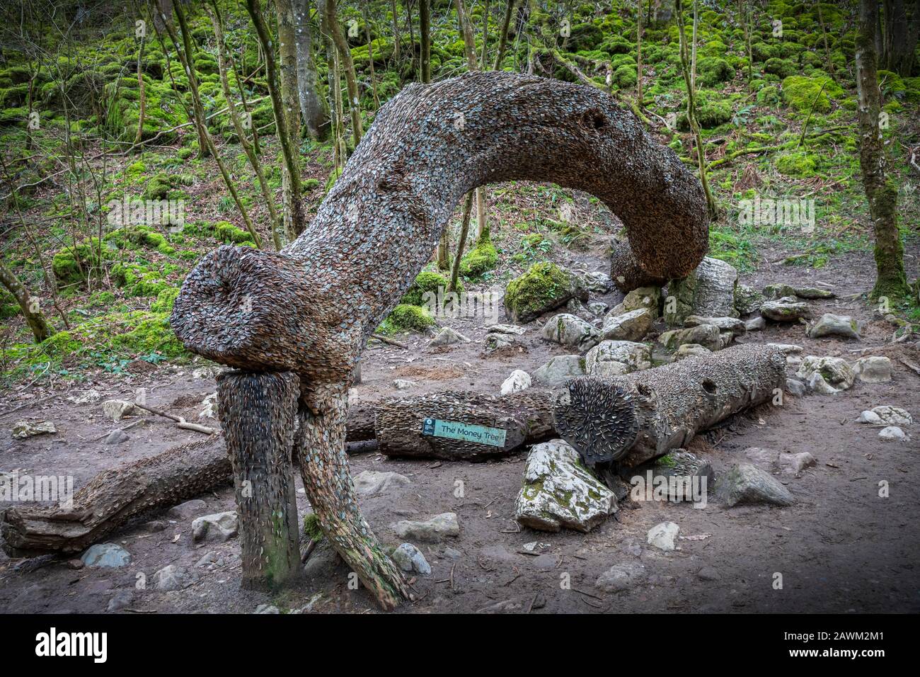 Money Tree fait partie de la cascade d'Ingleton Trail Yorkshire Dales Banque D'Images