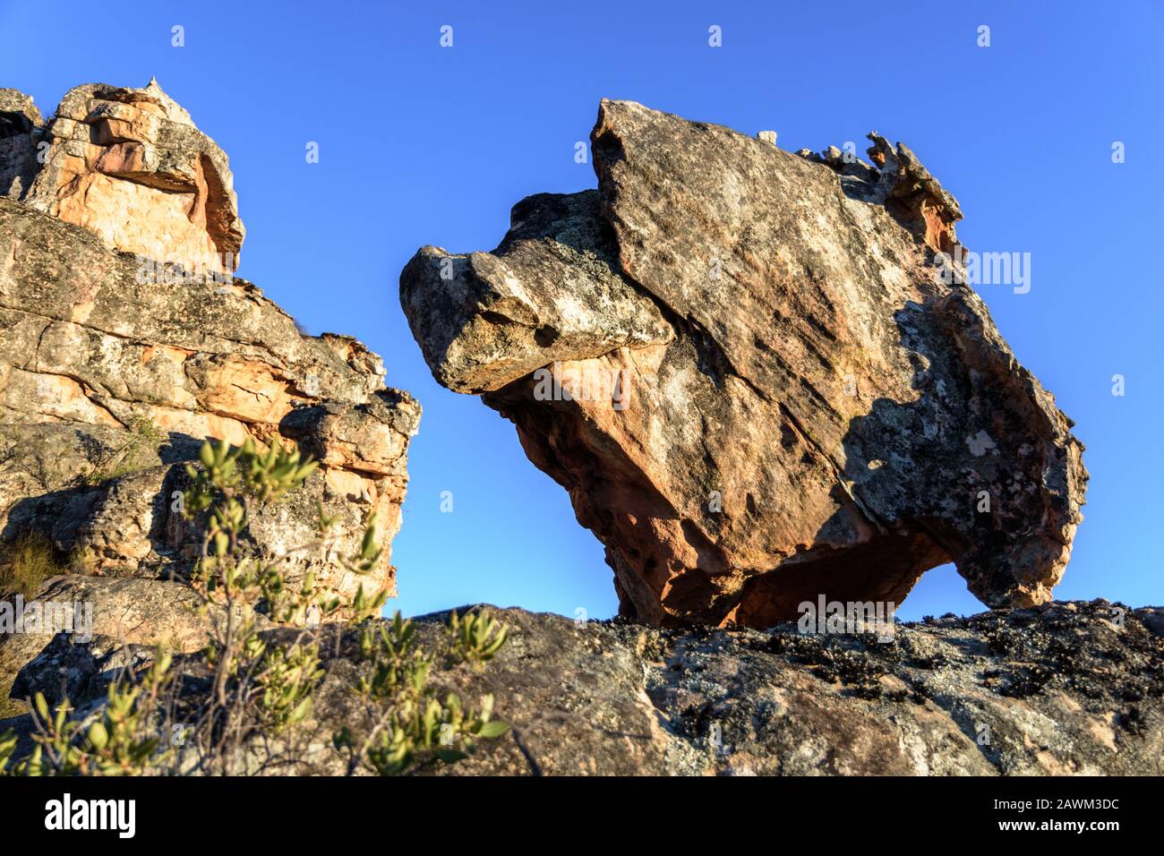 Rock formation dans le Cederberg Banque D'Images