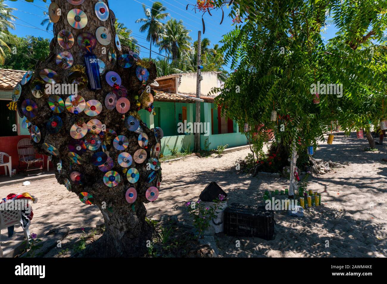 avec un vieux disque compact décoré arbre Banque D'Images