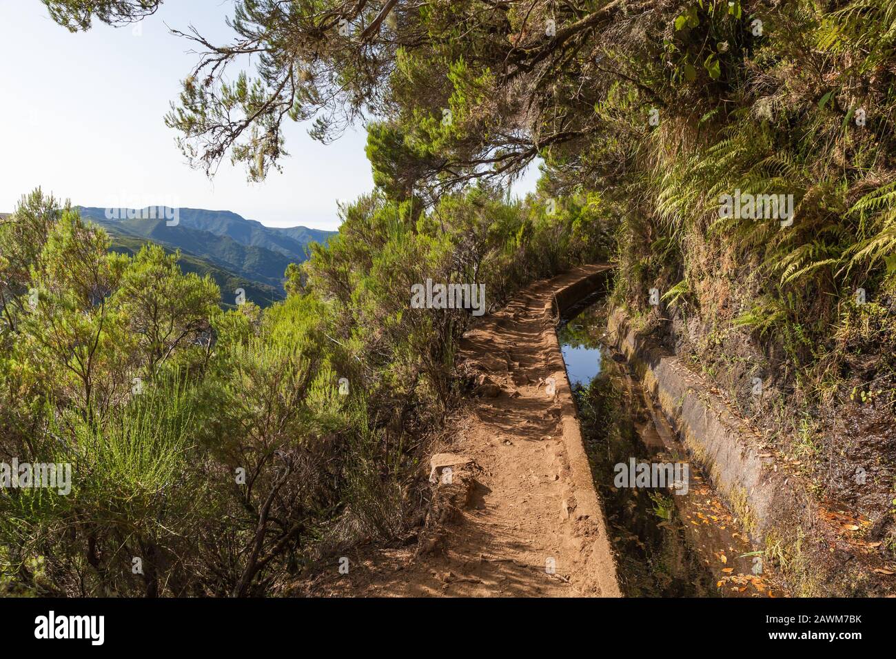 Paysage d'été avec le chemin d'un Calheta Levada. Île de Madère, Portugal Banque D'Images