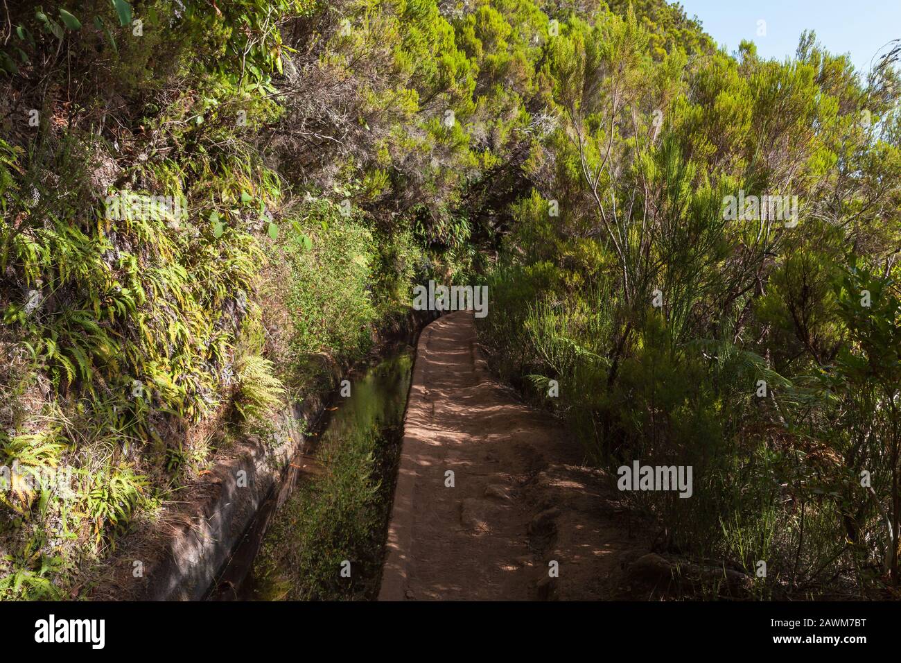 Calheta Levada. Paysage d'été avec le chemin d'une levada. Île de Madère, Portugal Banque D'Images