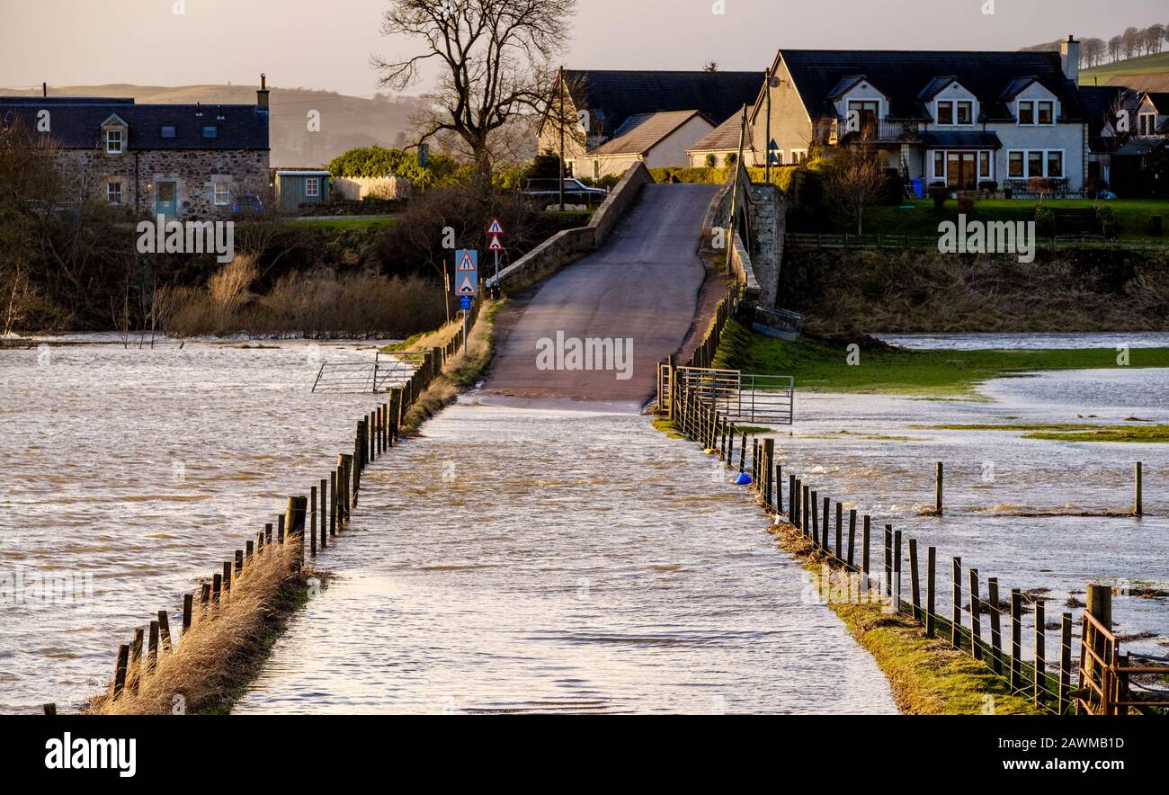 La tempête Ciara fait éclater la rivière Clyde sur ses rives dans le sud du Lanarkshire en Écosse, provoquant de vastes inondations sur les routes et les champs. Banque D'Images