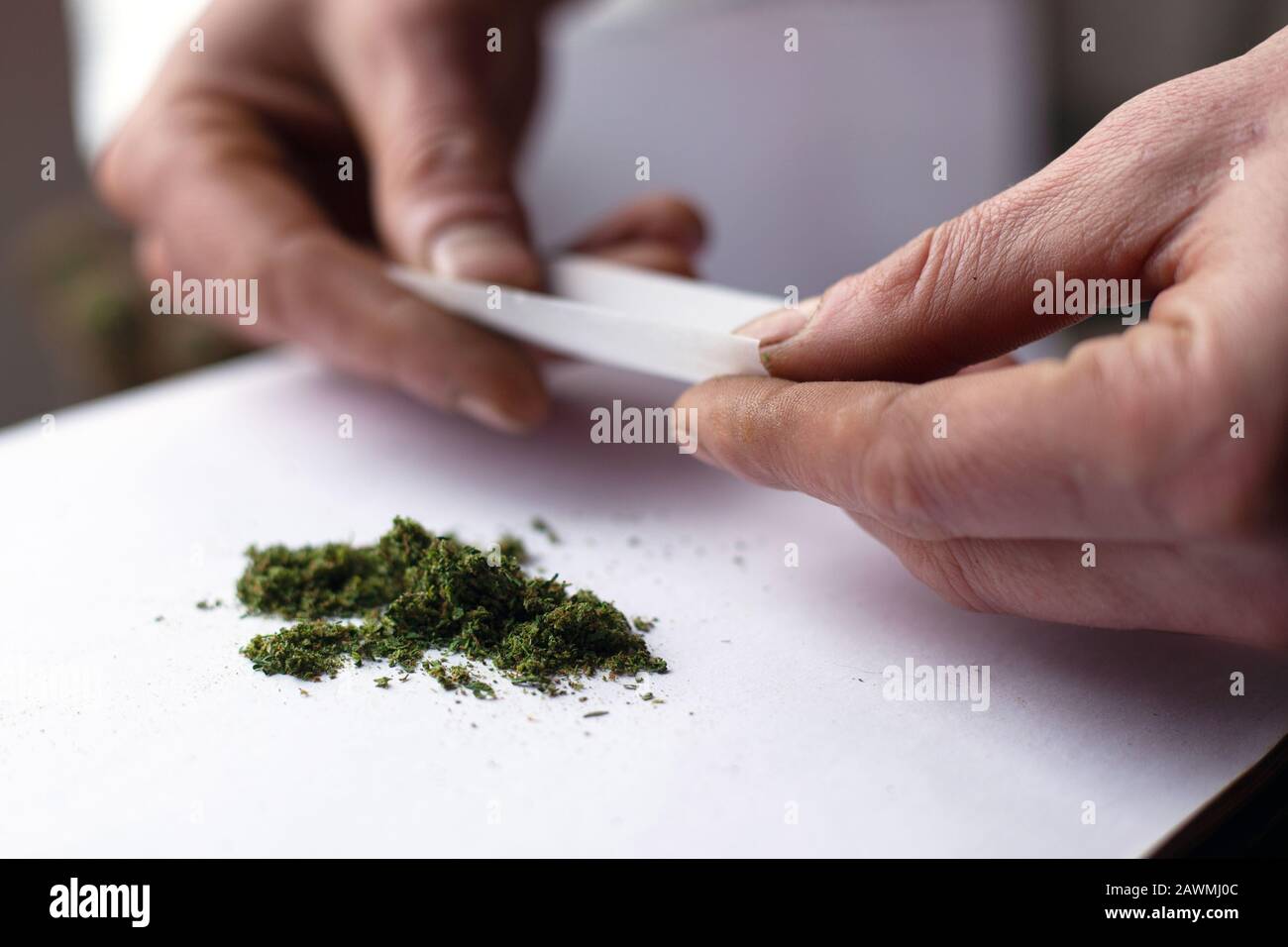 faire un rouleau de l'herbe de cannabis. le rouleau de chanvre se ferme. Banque D'Images