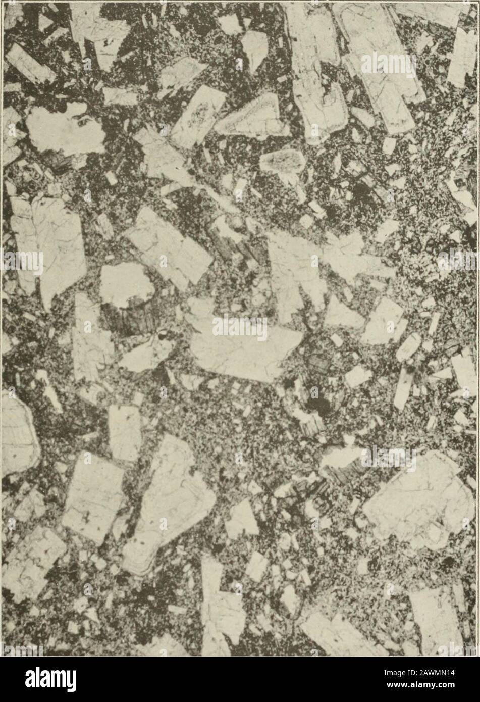 La géologie de la subdivision Coromandel, Hauraki, Auckland . tête du ruisseau Matawai, le programme modifié de roches porphyritiques est une dacite ou un porphyrite à la dacite. Sur le côté est des roches dacitiques de division principales se trouvent dans les ruisseaux Whareroa et Omoho, et beaucoup plus au sud, une dacite de hornblende a été identifiée à partir du ruisseau Batterv, dans la vallée de Mahairau. Propylitisation des roches volcaniques. Une altération très générale des andésites et des acariens est une caractéristique caractéristique des zones de la subdivision qui portent la veine. Cette modification est décrite comme la propylitisation, la termiétant u Banque D'Images