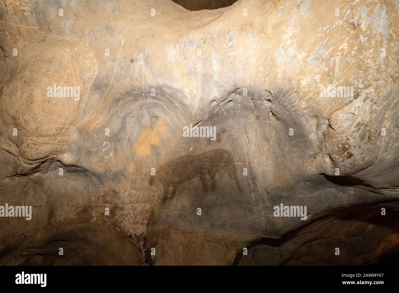 San rock art d'un éléphant dans les grottes de Cango, Oudtshoorn, Province du Cap occidental, Afrique du Sud Banque D'Images
