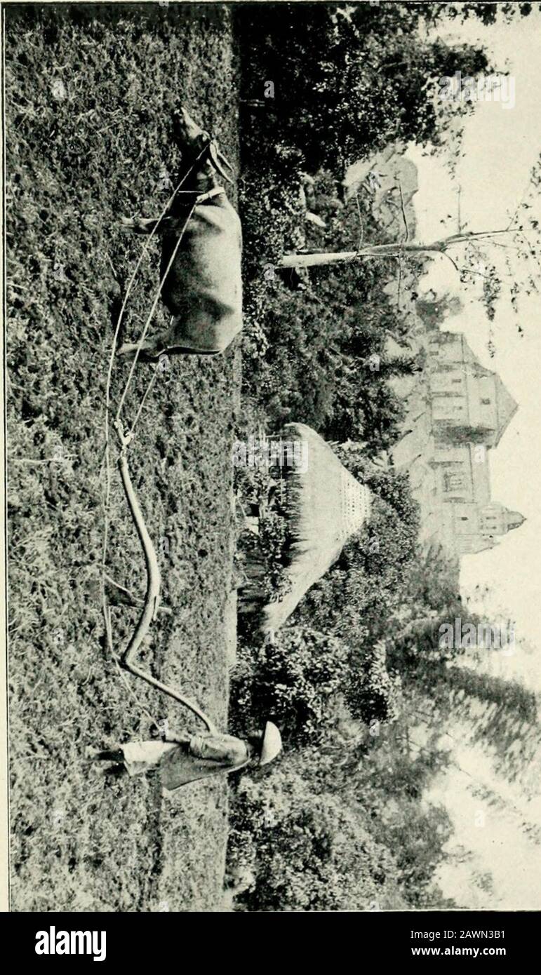 Les habitants des Philippines . -w^ ? f^*»<t. 5?&i%. * . ft- v^r^ ^ta TAGALS: En tant QUE CULTIVATEURS 227 ou ancien village, annonce alors combien de millions de riceschots ont été mis en place. Le travail est plus épuisant, de la position stoopante, qui est obligatoire, et becauseles yeux deviennent enflammés du reflet du soleil sur l'eau noire. Comme le paddy est planté pendant la saison de pluie, il se produit souvent que le travail est fait sous déverse atrotropical au lieu d'un soleil étincelant. En conduisant le long d'une route à travers les rizières en octobre, il semble incroyable que chaque lame de thatrinja Banque D'Images