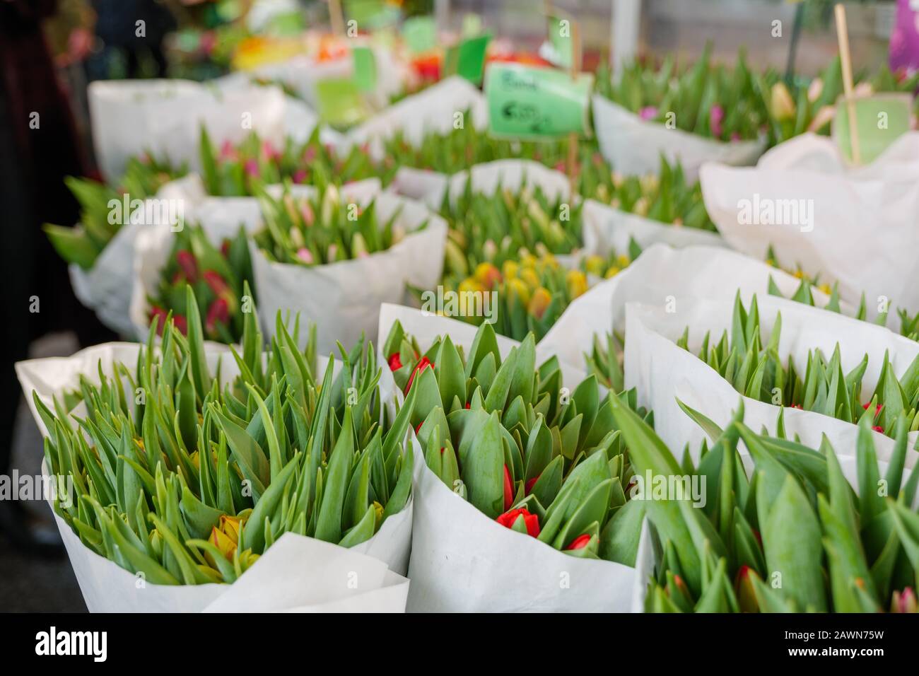 Bouquet de différentes tulipes colorées fleuris enveloppent avec du papier dans le panier au fleuriste. Groupe de tulipes de fleurs à vendre en face du fleuriste. Banque D'Images
