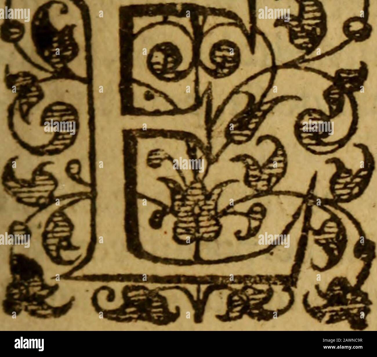 Philosophia theologiae ancillans : hoc est pia & sobria exlicatio quaestionum philosophophicarum in disputationibus theologicis subinde wecentium ... . EXERCITATIO PRIMEADE Ente & Efientia. I. Affertur pritna divifi* Sntis realis, & souvent diitur folum Dbum ejfe Ennecejfarium. |g?<qgv^^ygg NS rcalc, primo di- ^ ???MICI ^ J viditur, in finitum & infiniitut* ± hoc eft, inf creatorcm& creaturam: Quae quide didivifio, Muu tis aliis modis tradi & proponi ct: Enquaid cm/ Enqualijonud*. % t)e Ettte et Effent Banque D'Images