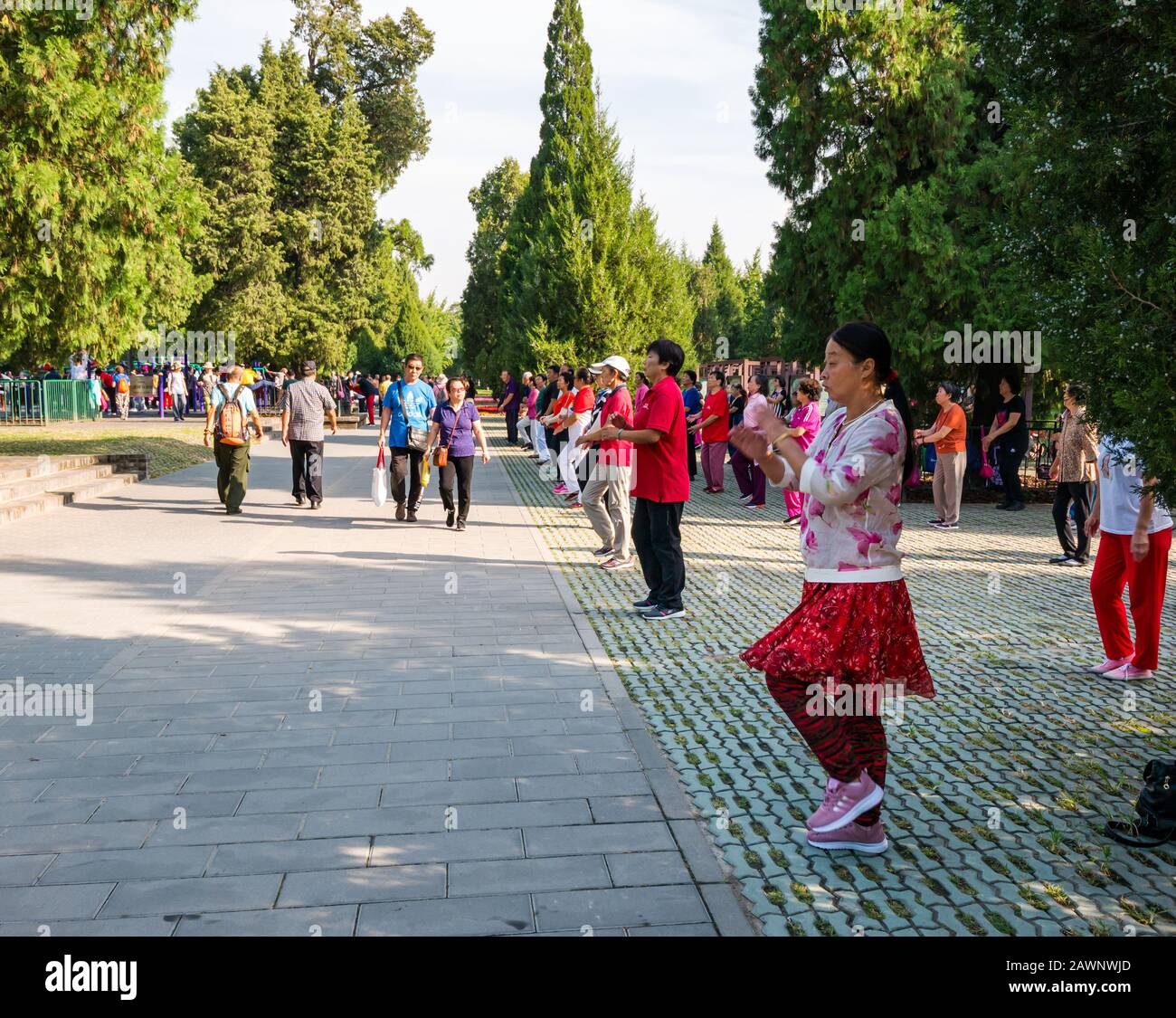 Les personnes plus âgées chinoises qui font de l'exercice dans la classe Tai Chi, Tiantan Park, Beijing, Chine, Asie Banque D'Images