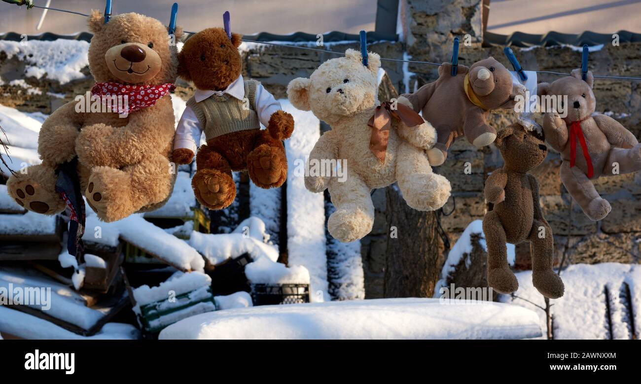 des ours en peluche marron migneux pendent sur un manteau et séchent à  l'air frais, à l'extérieur Photo Stock - Alamy