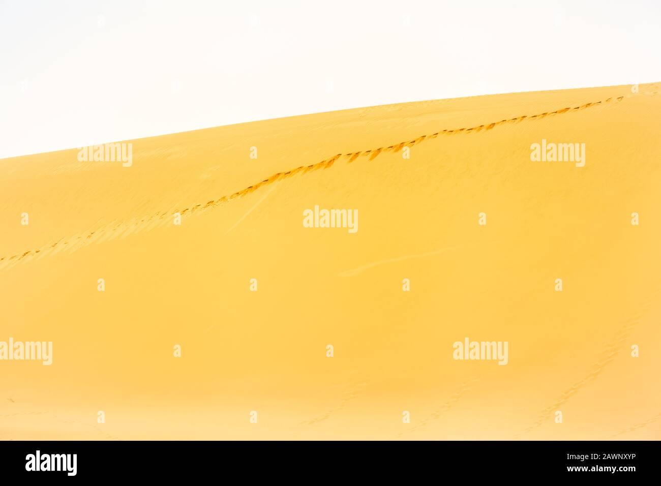 Énorme colline de dunes de sable et chemin d'empreinte vers le haut (espace de copie) Banque D'Images