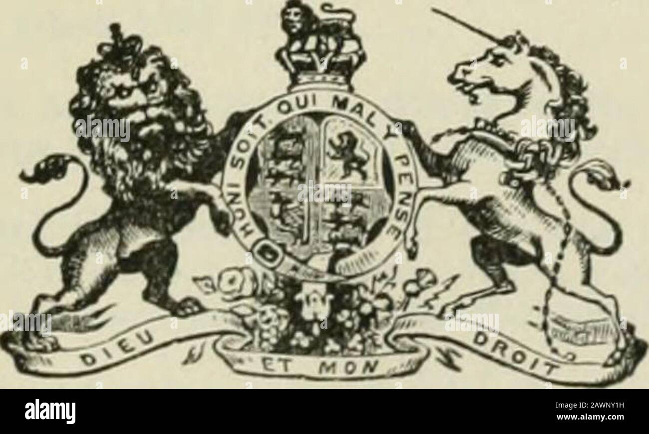Documents de session de l'Ontario, 1888, no 71-80 . l8,987 927 25,283,071 25,283,441 6,263,884 4,346,294 5,777,979 2 75,948 50,18310,472 118 461 7,484 r 33,923 16,061 34 5 102,074 26,315 6 25,355148,3319033,756 4,48 7 8 ... 9 10 5 28 4,00 109 194,030 1,552,621685,138 655,90545,288,518 |75,433,882 29,691,59145,742,291 11 8,814 8914,650 4,566 2,16712,854 348,366 5,9656523,407 3,364 63,2263.-583,488 2,461,652,62,62,62,82,82,547,147,147,147,147,148,147,143,143,143,143,58,13,58,13,58,13,58,13,43,43,58,13,43,43,43,43,43,43,43,43,43,43,43,43,43,43,43,43,43,43,43,43,43,43,43,58,13,43,43,43,43,5 Banque D'Images