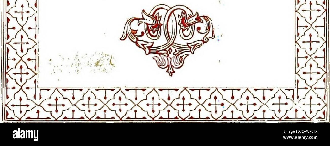 Le Jardin De Roses De Persia Striakhad Un Rose Tendre Et Inconscient A Nawed Le Long De Sa Joue Creuse Et Dans Un Bliss Revant Inconscient Il Sourit But Enroule Autour De Lui Se Penchant