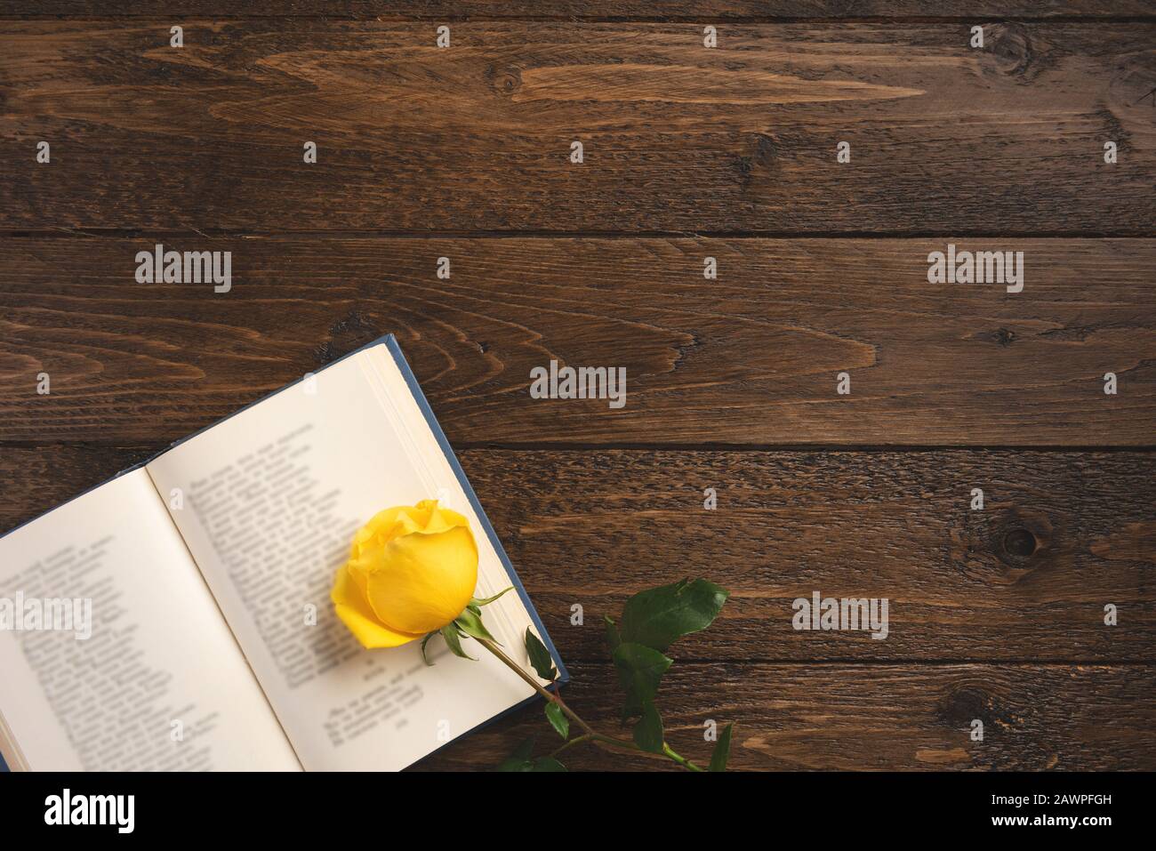 Concept romantique. Livre ouvert avec poèmes et rose, sur fond de bois. Couche plate, vue supérieure, espace de copie. Banque D'Images