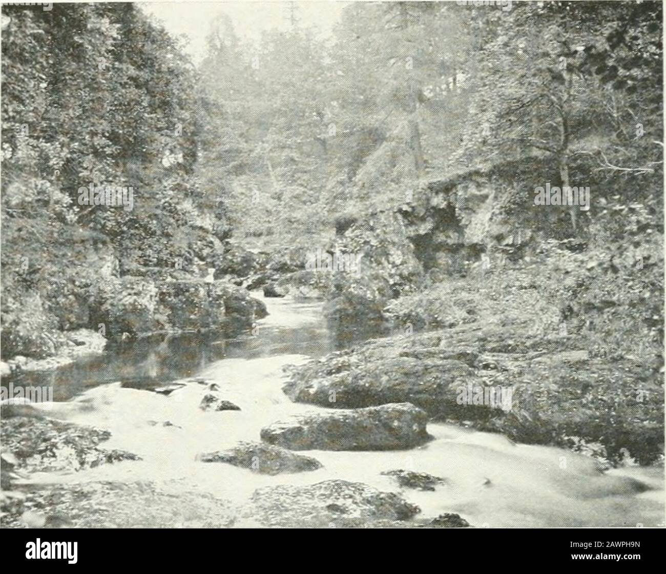 Clackmannan et Kinross. Stretch est mostfamous pour son paysage pittoresque et sauvage. Foamingand se précipitant au fond d'une gorge profonde et, dans les endroits, surplombant la gorge, la rivière coule dans des tromperies d'eau cachées comme des chasms sombres comme le Moulin des Devils, où l'eau s'est dévorée et se jette sous le pont Rumbling jusqu'à sa carrière sauvage dans d'autres leandswirling rushing le long du Caldron Liim. Avec l'entrée des rixersre dans le Clackmannanshire, le caractère de thevalley change, la descente abrupte de la gorge étroite à l'émission bv le gradient doux de la plaine fertile, et la rivière gagne Banque D'Images