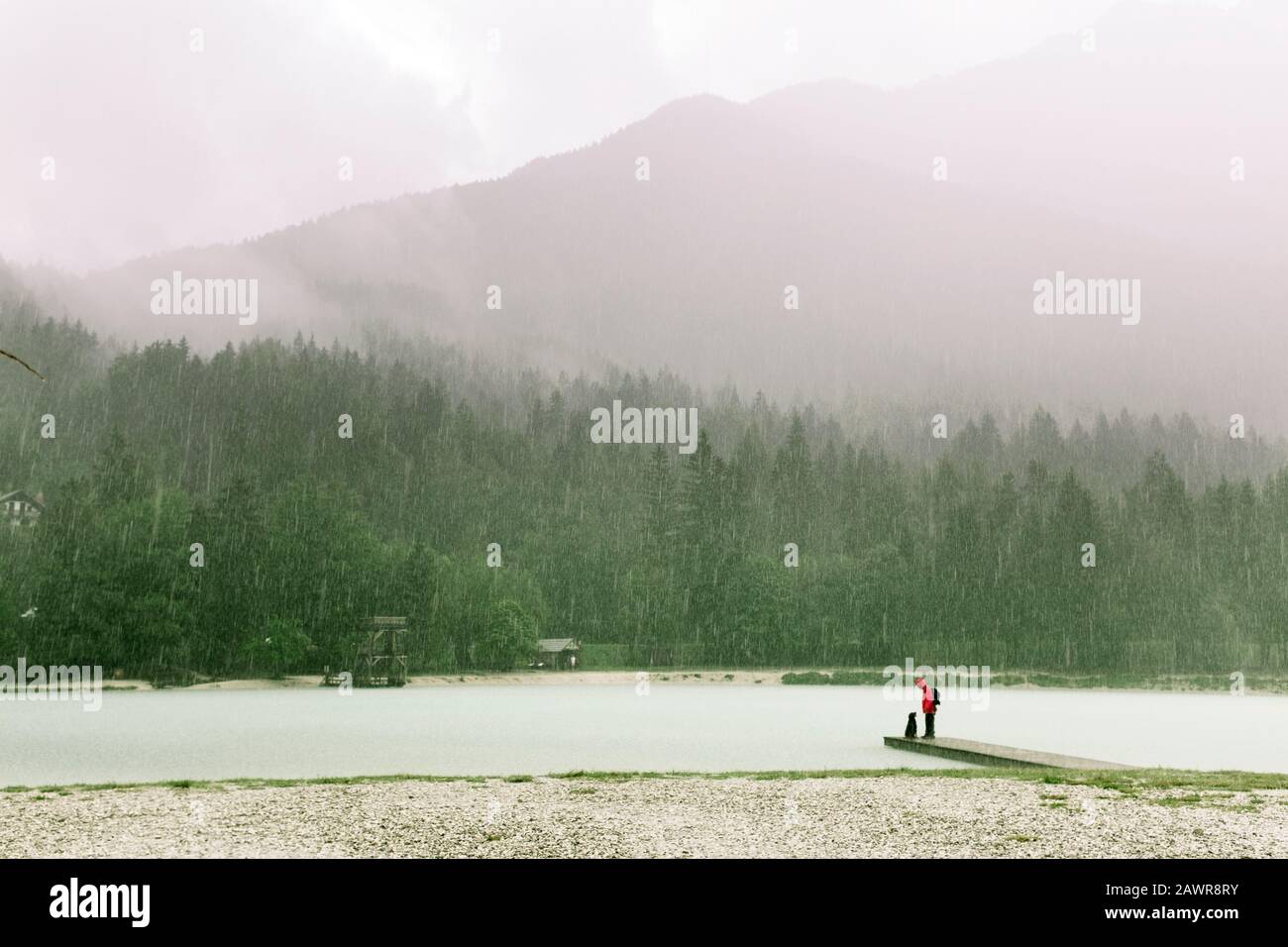 Personne imreconnaissable avec chien debout dans la tempête de pluie sur une jetée en bois d'un lac de montagne, avec un parte de pin vert luxuriant et des nuages brumeux Banque D'Images