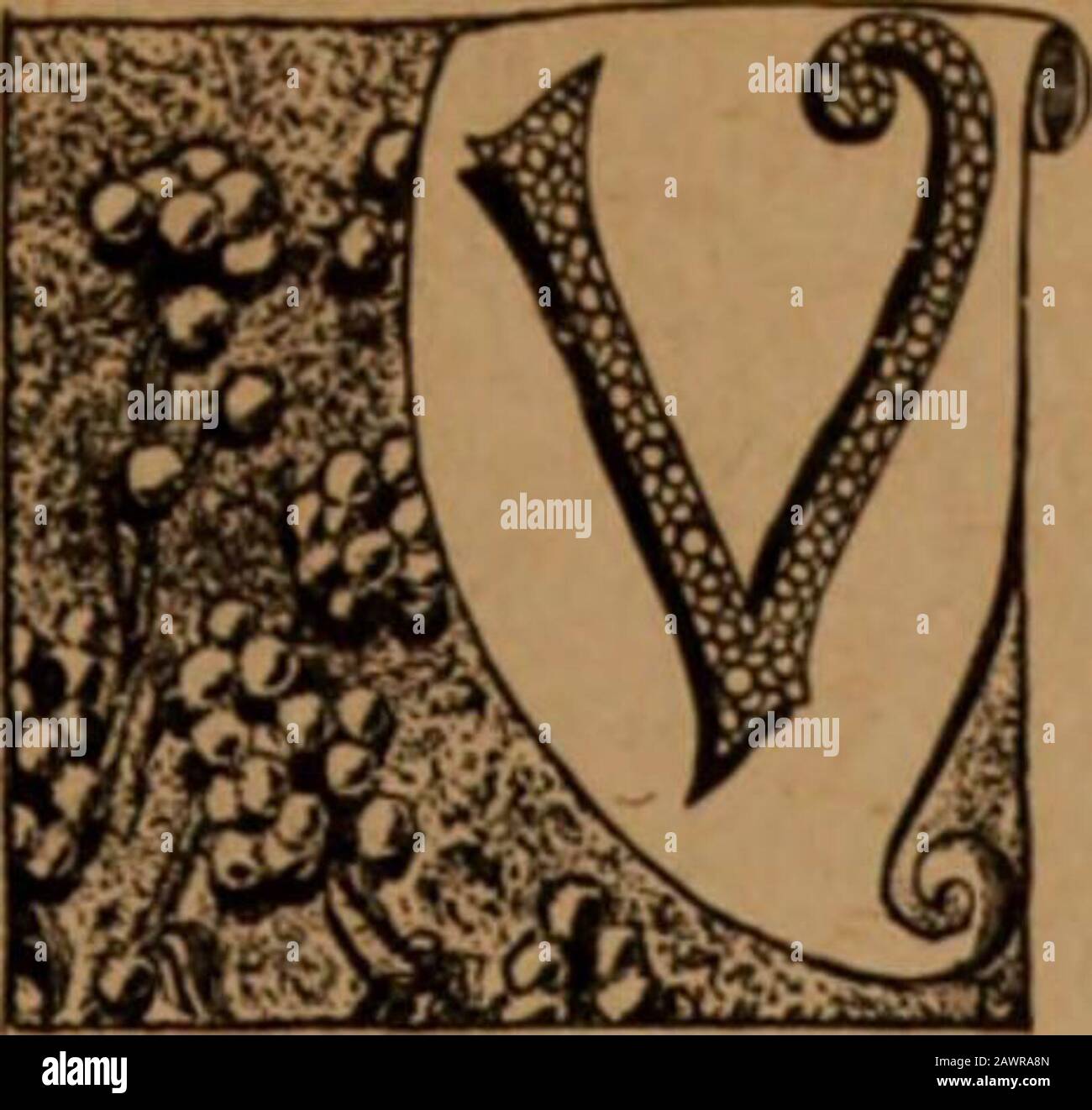 L'hérérie chrétienne et les signes de notre époque. Ut que la prééminence de Juda soit irrévocablement établie en Christ, non spirituellement, mais en fait dans le royaume où Daniel prophétie. Ton royaume comerefers à l'établissement du Scepter et trône de Juda qui détruira toutes les terre et royaumes et remplira toute la terre. Dieu fait donc à Juda son nouveau centre, et dit, Et Pourtant j'ai mis mon roi sur ma Sainte colline de Sion, tu es Juda, qu'il louera ta brethrenchire. Mais Satan a sa propre exaltation en vue. Ofhim il est écrit, Il oppose et exaltethlui-même par-dessus tout ce qui est Banque D'Images