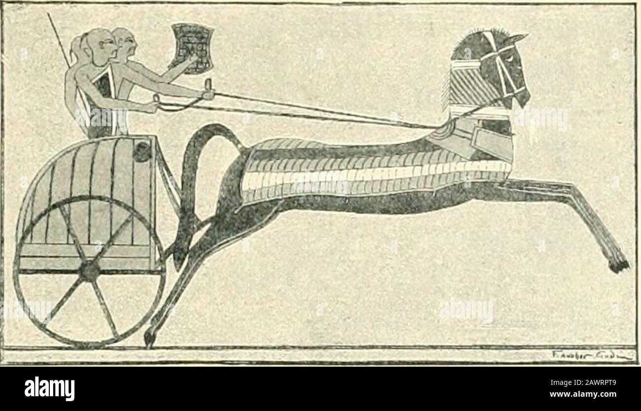 La lutte des nations - Egypte, Syrie et Assyrie . les éstivals étaient très anciennes, et leur institution, si ce n'est la méthode de les célébrer, pourrait revenir à l'époque de l'empire hittite (Eajisat-Hogakth, pré-hellenicjilonuments de Cappadoce, dans le Secueil de Travaux, vol. iv. 77, p.). La description de la bataille de Qodshil en tlie temps de Ramses II nous montre le roi de theti entouré de ses vassaux (voir le passage aux pp. 397,398 du présent travail). La preuve de l'existence d'une organisation féodale similaire à partir de l'époque de la dynastie XVIII est donnée par une lette Banque D'Images