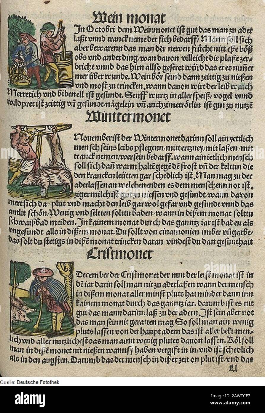 Fotothek df tg 0004477 Astronomie ^ Kalender ^ Monat ^ symbole. Banque D'Images