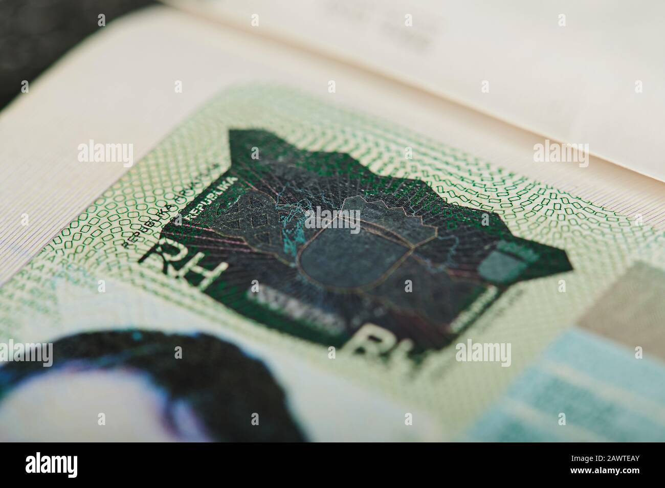 Cachet de visa hologramme en vue macro du document de passeport Banque D'Images