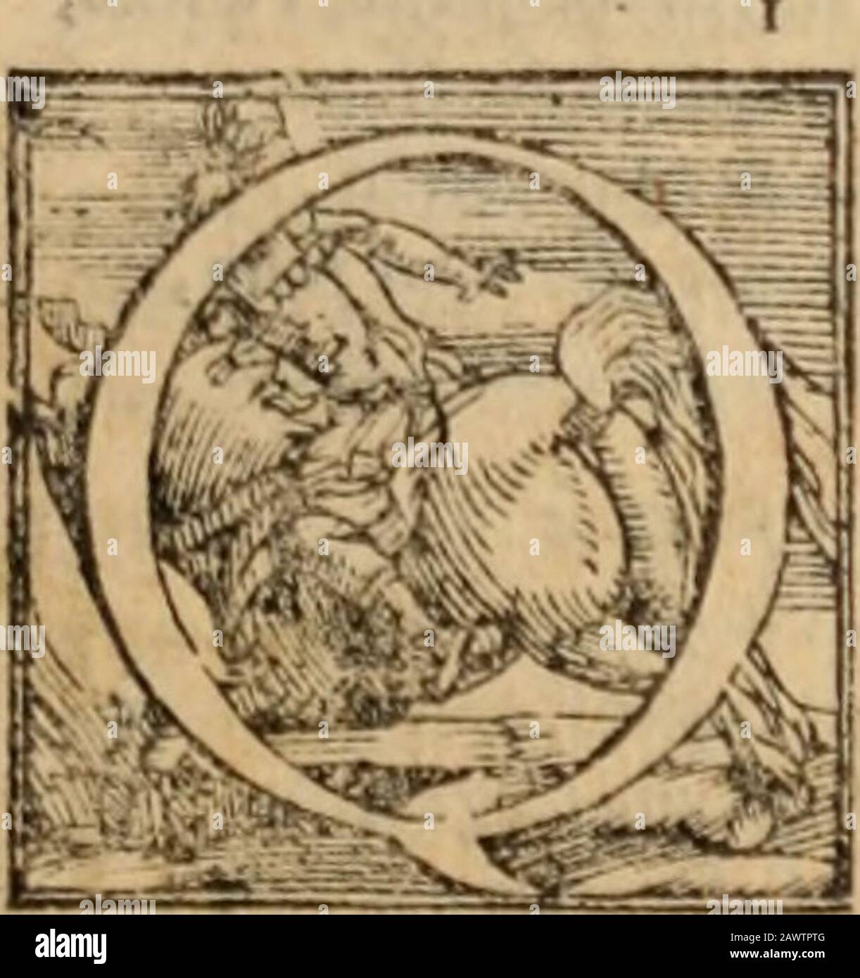 Orlando Furioso A R O O M 1 M R O Angelici A I Atgicr Col F Cro Anclio Cbcggillc Hi Dato Fi Dilegua E Toglie Voi Dun Gigante M Nccio Il Uifo tl Ydc I Atgatr