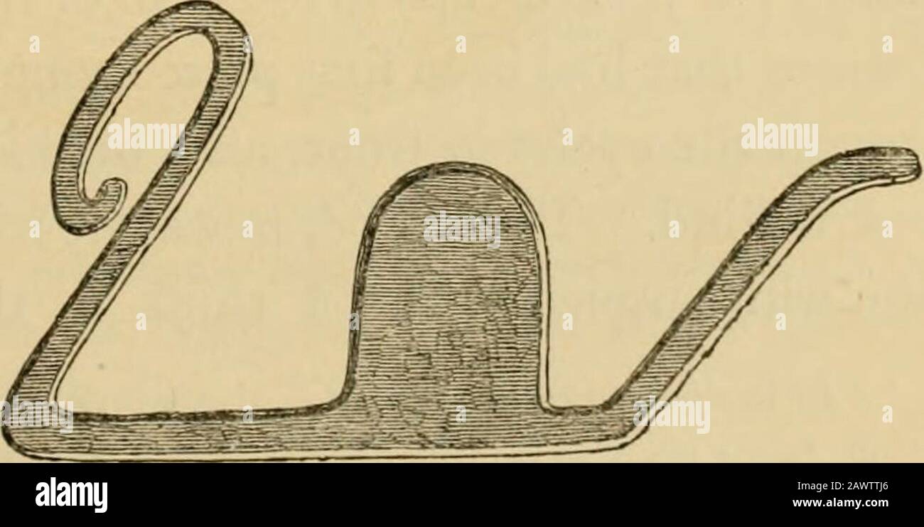 Chaussures de cheval et raquette : leur origine, leur histoire, leurs utilisations et leurs abus . fig. 123 le professeur Defaysdonne un dessin d'un autre de cette division, avec un oeil et une orgueil, deux lèvres sans crochets, et la semelle percée de deux trous ronds (%• 123). Les figures du deuxième type sont aussi nombreuses, si notplus, que celles du premier; et elles ont aussi trouvé avec elles, et avec des nailedshoes, dans des variousexcavations onRoman et Prankish sites.Le Musée de ^g, 2^. ?310 CHAUSSURES-CHEVAUX JND HORSESHOEING. Banque D'Images