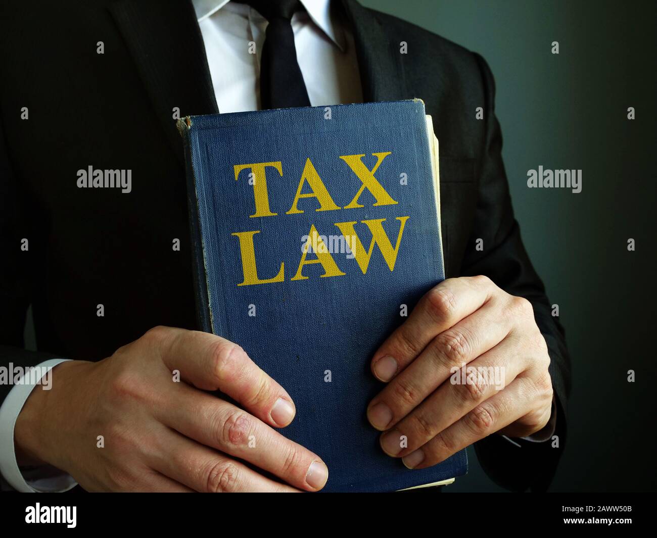 Le comptable est titulaire d'un livre de droit fiscal. Banque D'Images