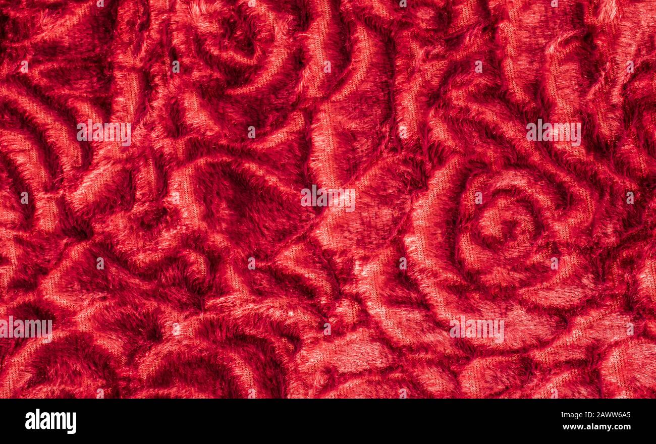 Texture tricotée rouge motif roses abstrait. Arrière-plan de la Saint Valentin. Banque D'Images
