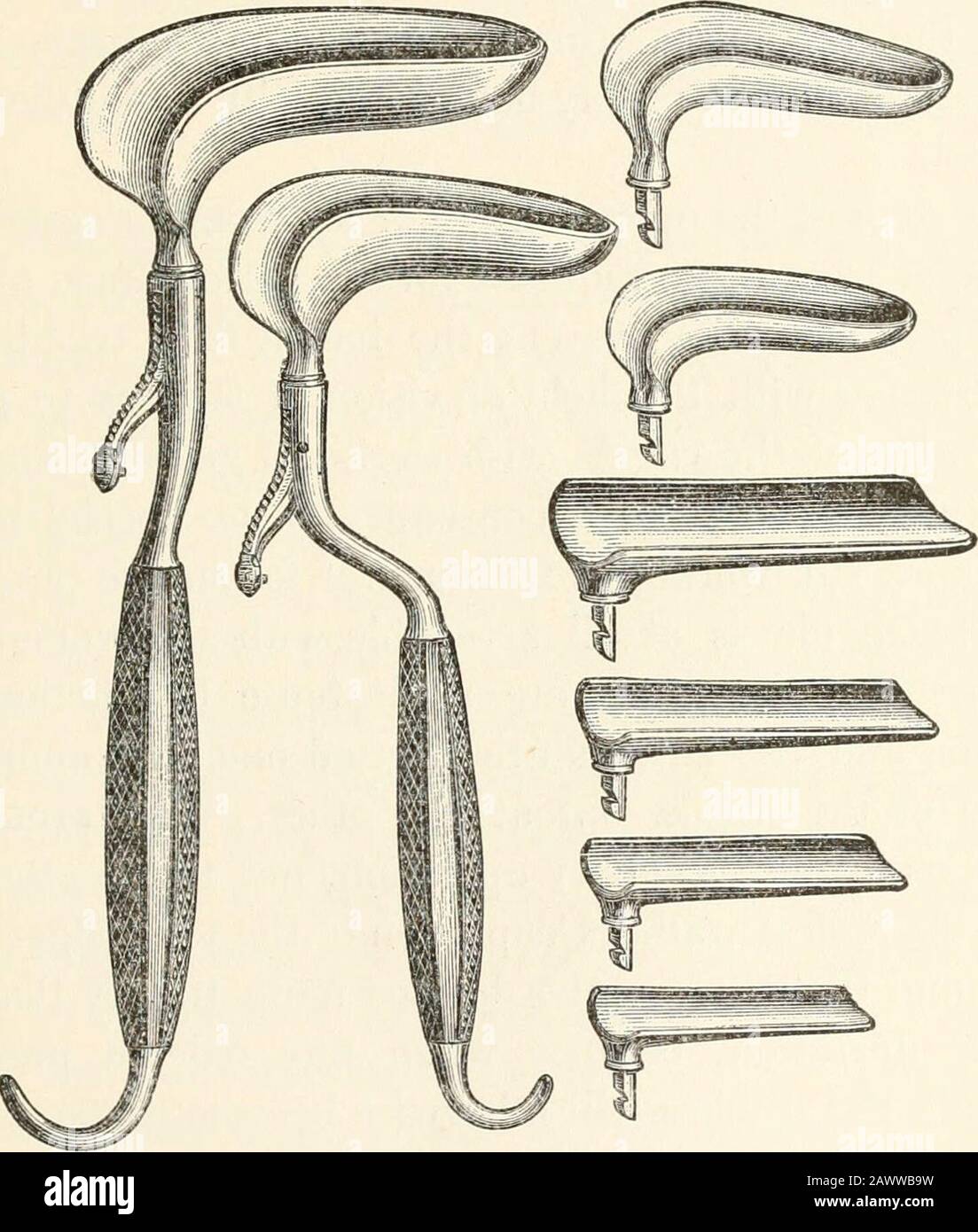 In Puerperium Banque D Image Et Photos Alamy