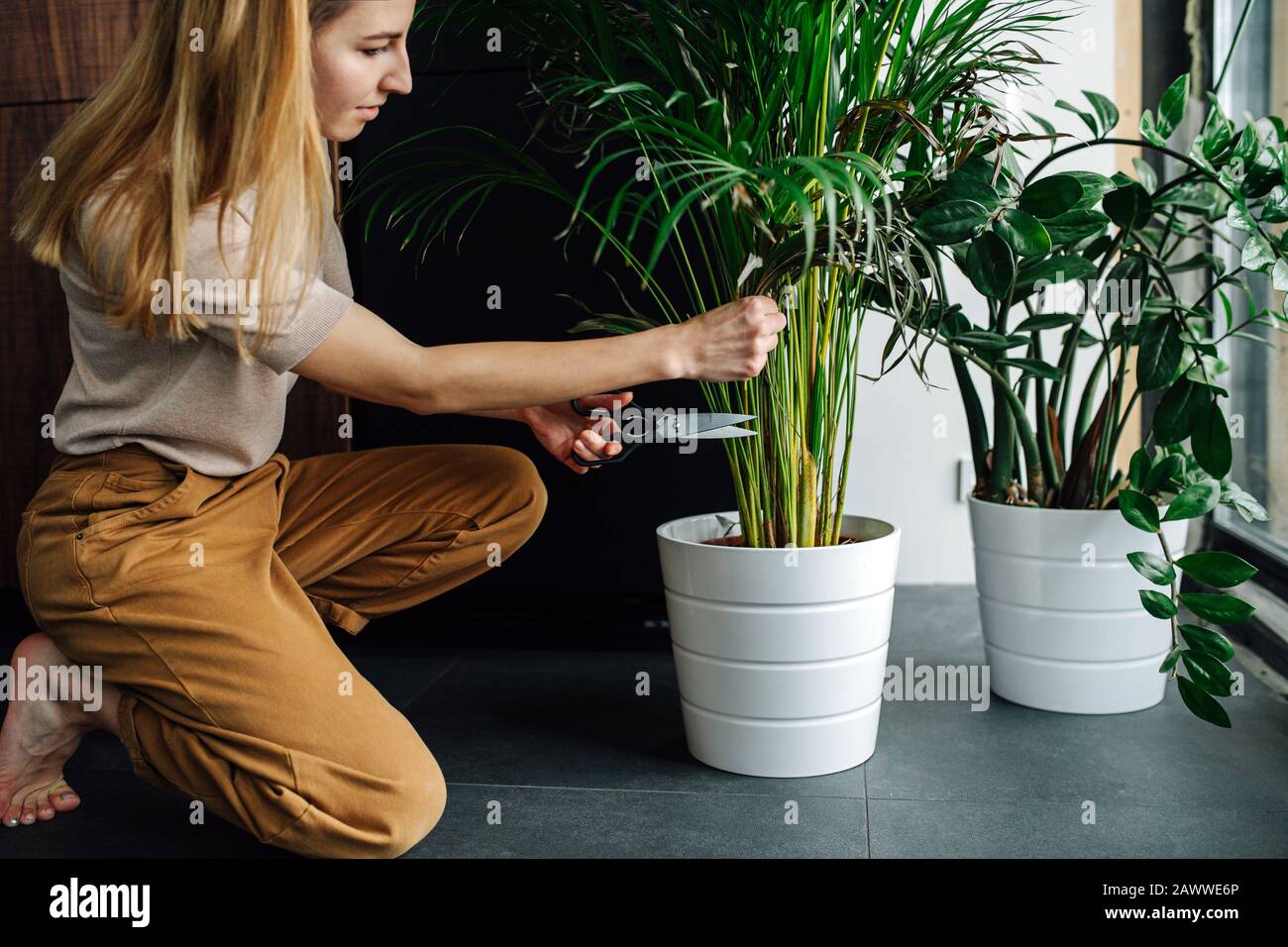 Une jeune femme ciblée qui tend à ses plantes en pot à la maison Banque D'Images