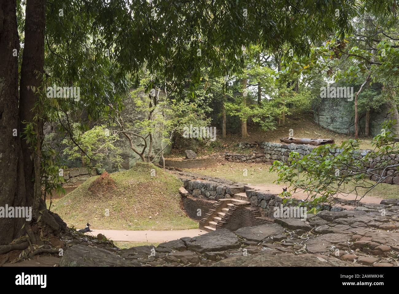 Sigiriya, Sri Lanka: 03/17/2019: Forteresse des roches, rocher du Lion montrant la promenade touristique au sommet du rocher. Il est célèbre pour ses peintures à la fresque de ma Banque D'Images