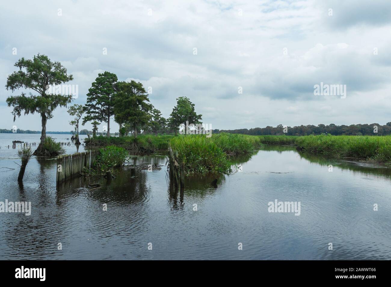 Beau paysage naturel (tourbière, terre humide), Pawleys Island, Caroline du Sud, États-Unis d'Amérique. Prise de vue grand angle. Jour nuageux, eau de réflexion Banque D'Images Beau paysage naturel (tourbière, terre humide), Pawleys Island, Caroline du Sud, États-Unis d'Amérique. Prise de vue grand angle. Jour nuageux, eau de réflexion Banque D'Images